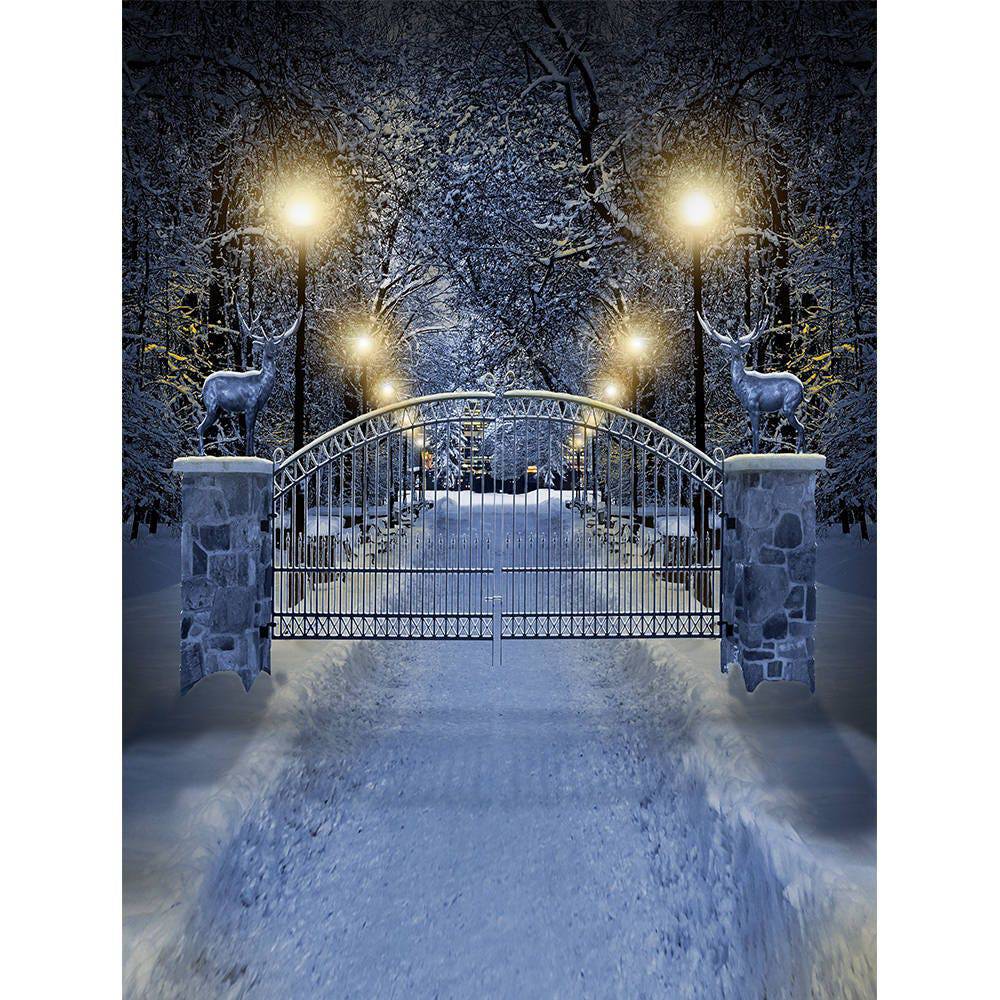 Enchanted White Winter Drive Photo Backdrop - Basic 8  x 10  