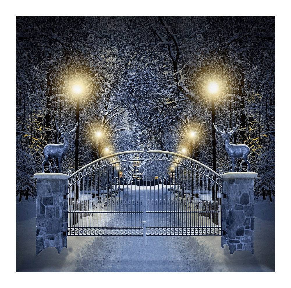 Enchanted White Winter Drive Photo Backdrop - Basic 8  x 8  