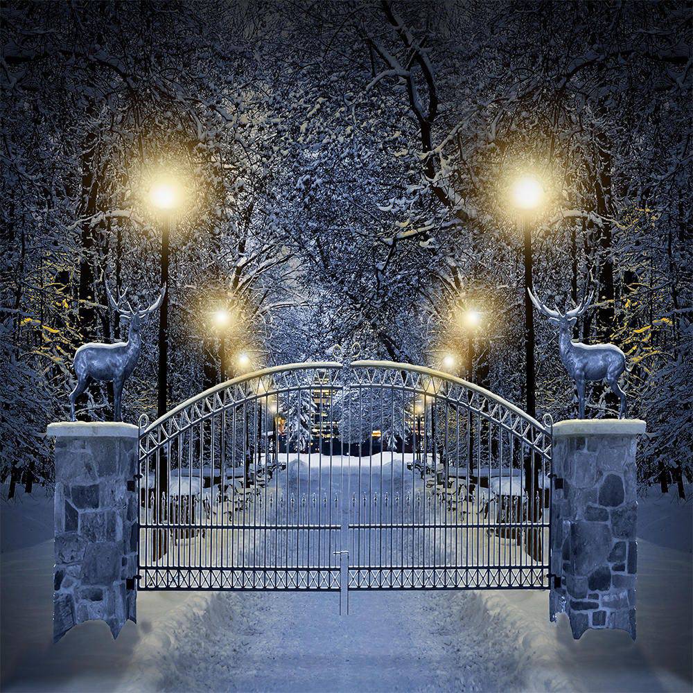 Enchanted White Winter Drive Photo Backdrop - Pro 10  x 10  