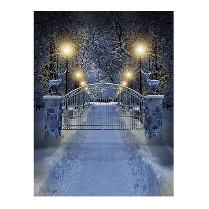 Enchanted White Winter Drive Photo Backdrop - Pro 6  x 8  