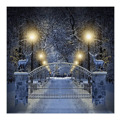 Enchanted White Winter Drive Photo Backdrop - Pro 8  x 8  