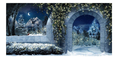 Magical Christmas Kingdom Photo Backdrop - Basic 16  x 8  