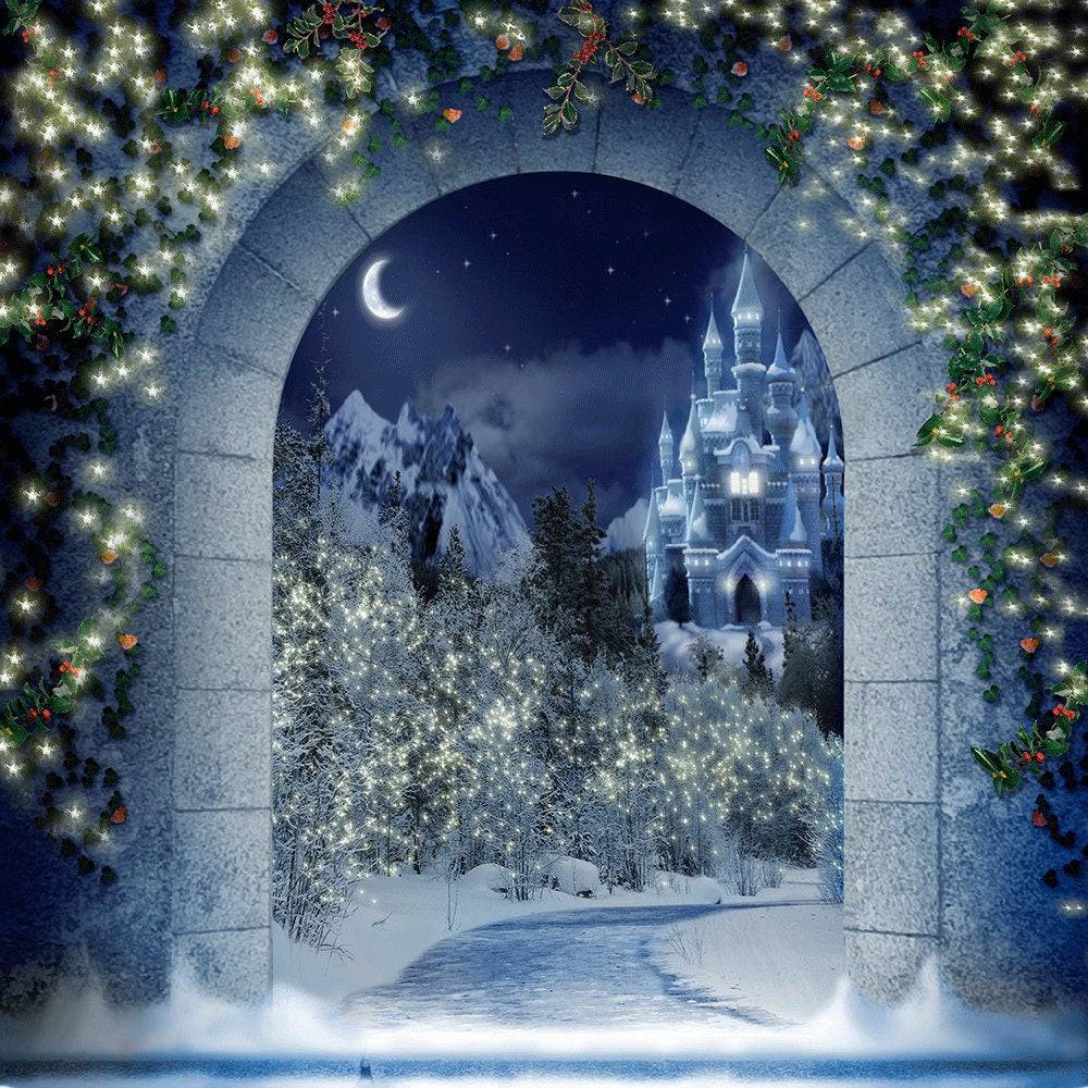 Magical Christmas Kingdom Photo Backdrop - Pro 10  x 10  