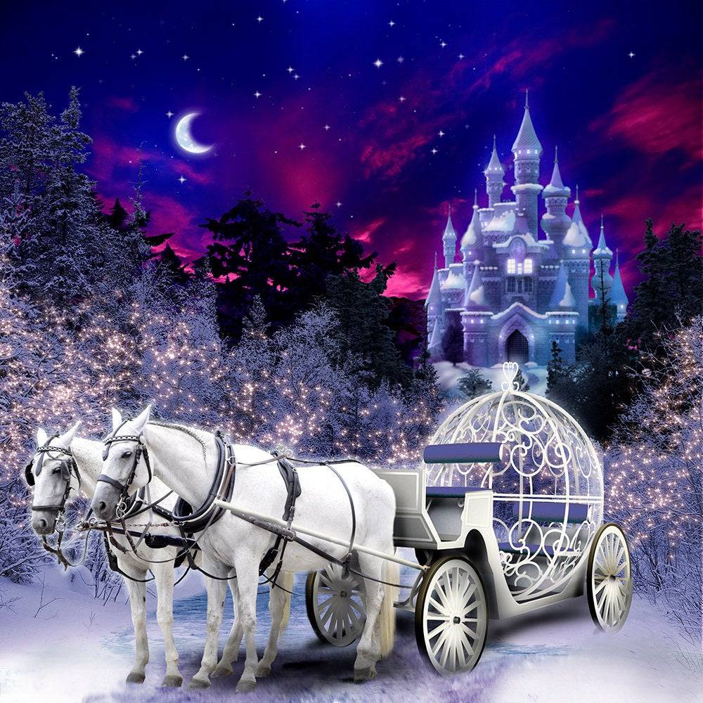 Cinderella's Carriage and Castle Photo Backdrop - Pro 10  x 10  