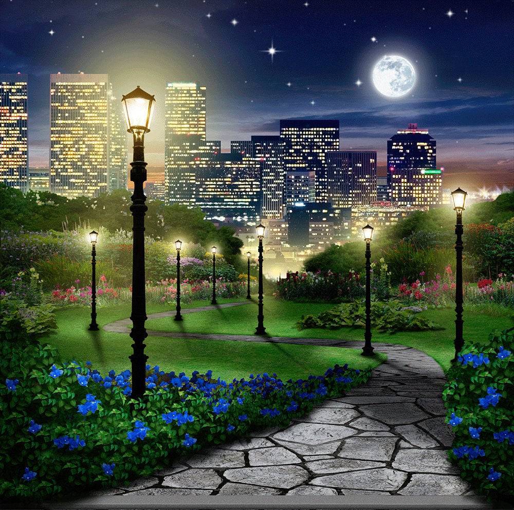 Central Park At Night Photography Backdrop - Basic 10  x 8  