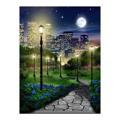Central Park At Night Photography Backdrop - Basic 6  x 8  