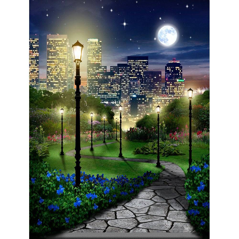 Central Park At Night Photography Backdrop - Basic 8  x 10  