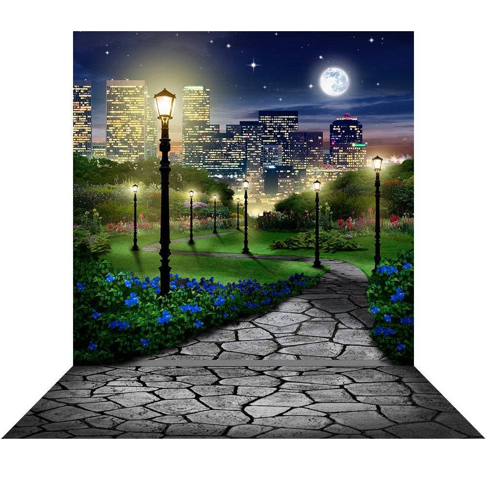 Central Park At Night Photography Backdrop - Basic 8  x 16  