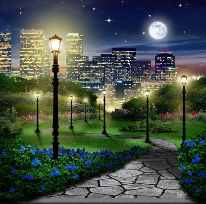 Central Park At Night Photography Backdrop - Pro 10  x 8  