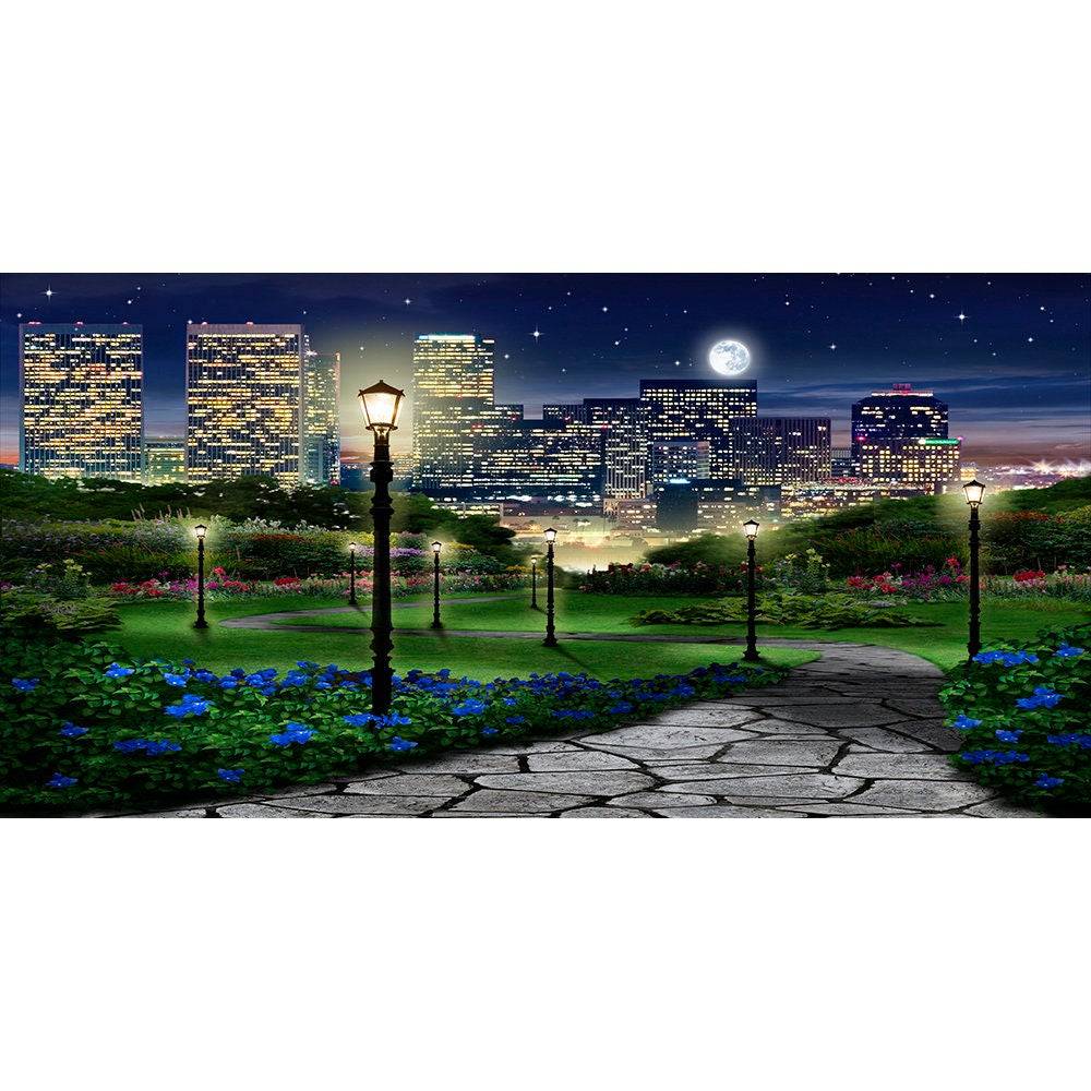 Central Park At Night Photography Backdrop - Pro 16  x 9  