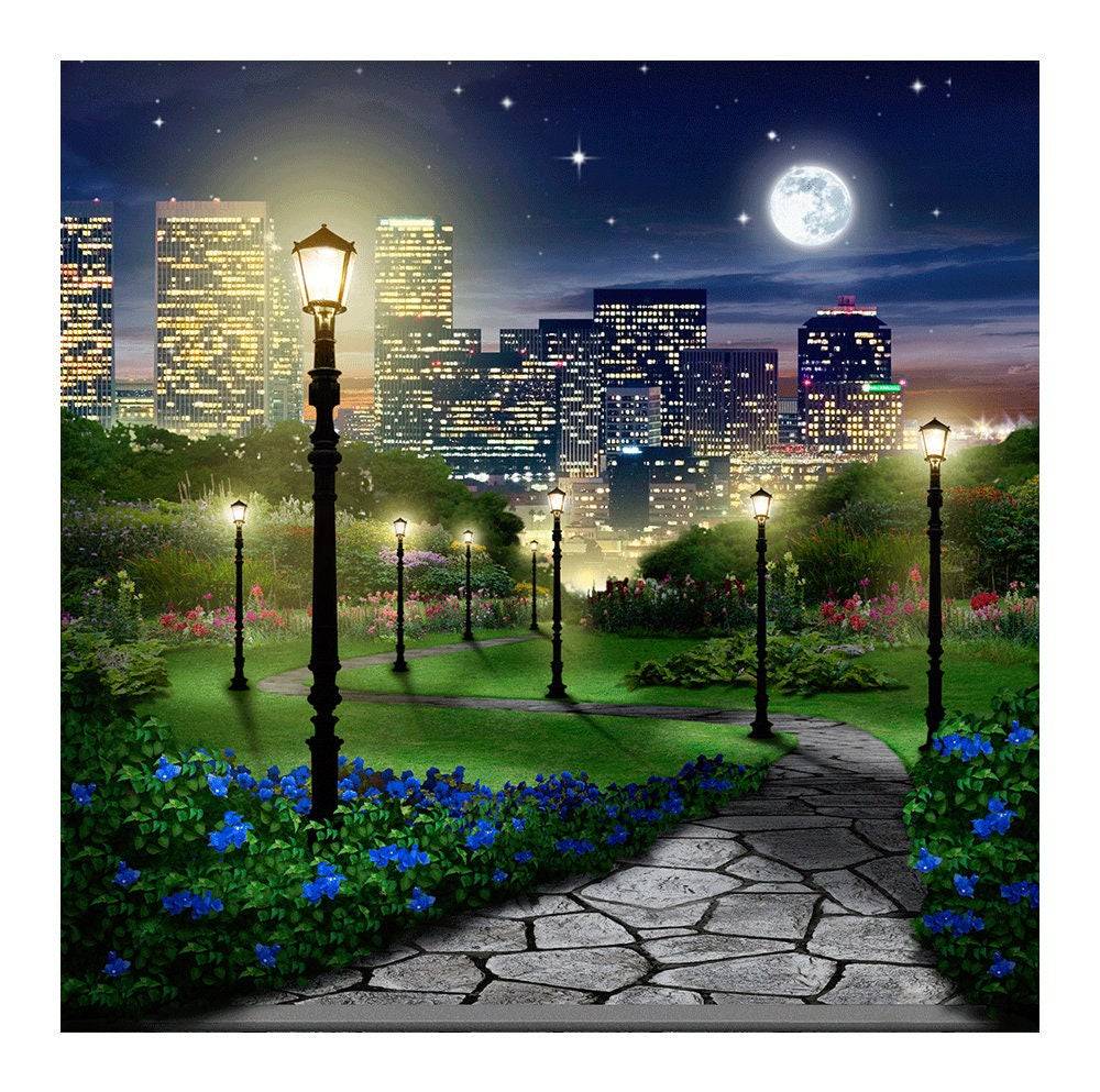 Central Park At Night Photography Backdrop - Pro 8  x 8  