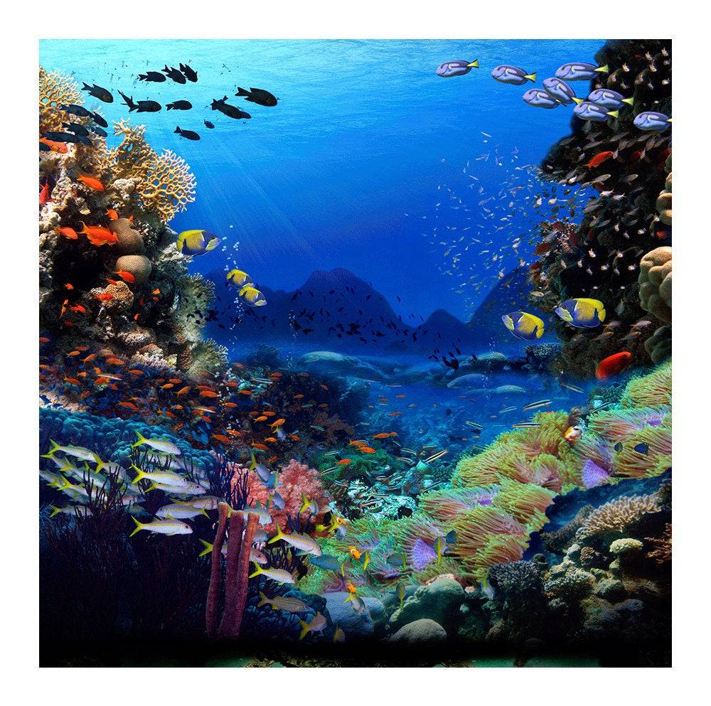 Under The Sea Photography Backdrop - Basic 8  x 8  