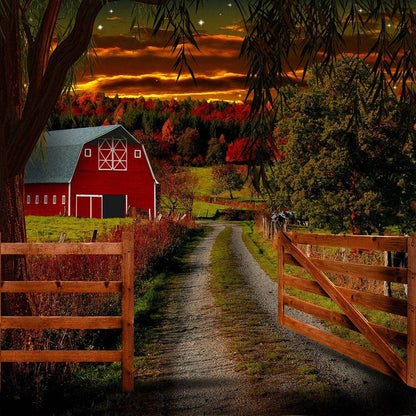 Country Barn Road Photography Backdrop - Basic 10  x 8  