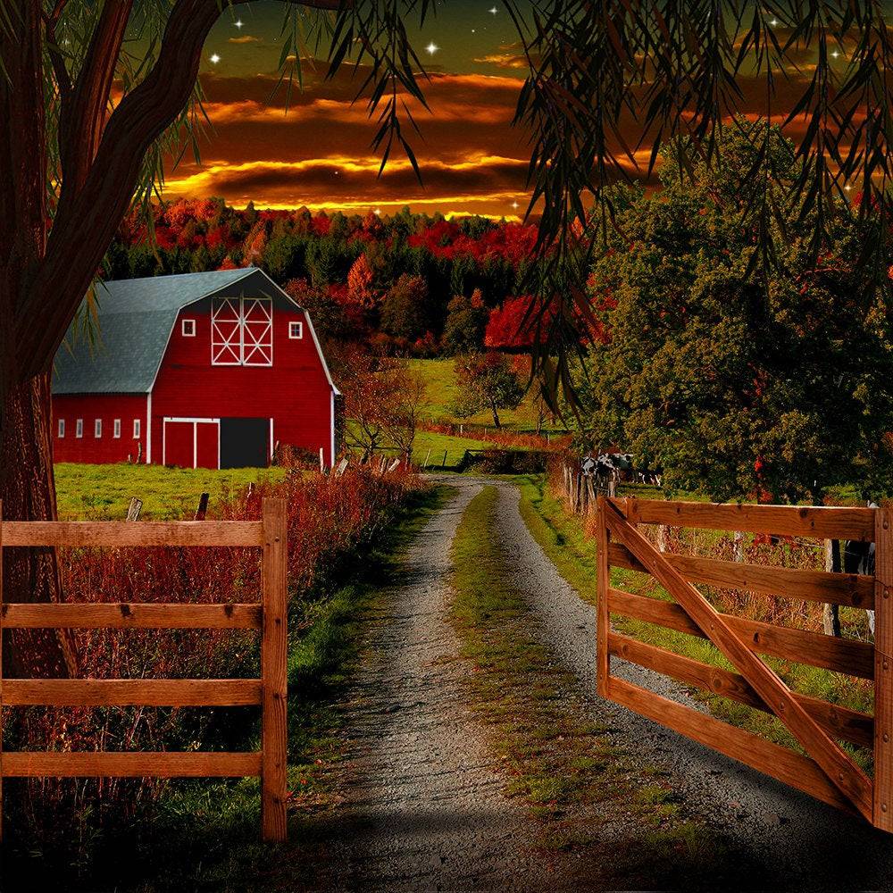 Country Barn Road Photography Backdrop - Pro 10  x 10  