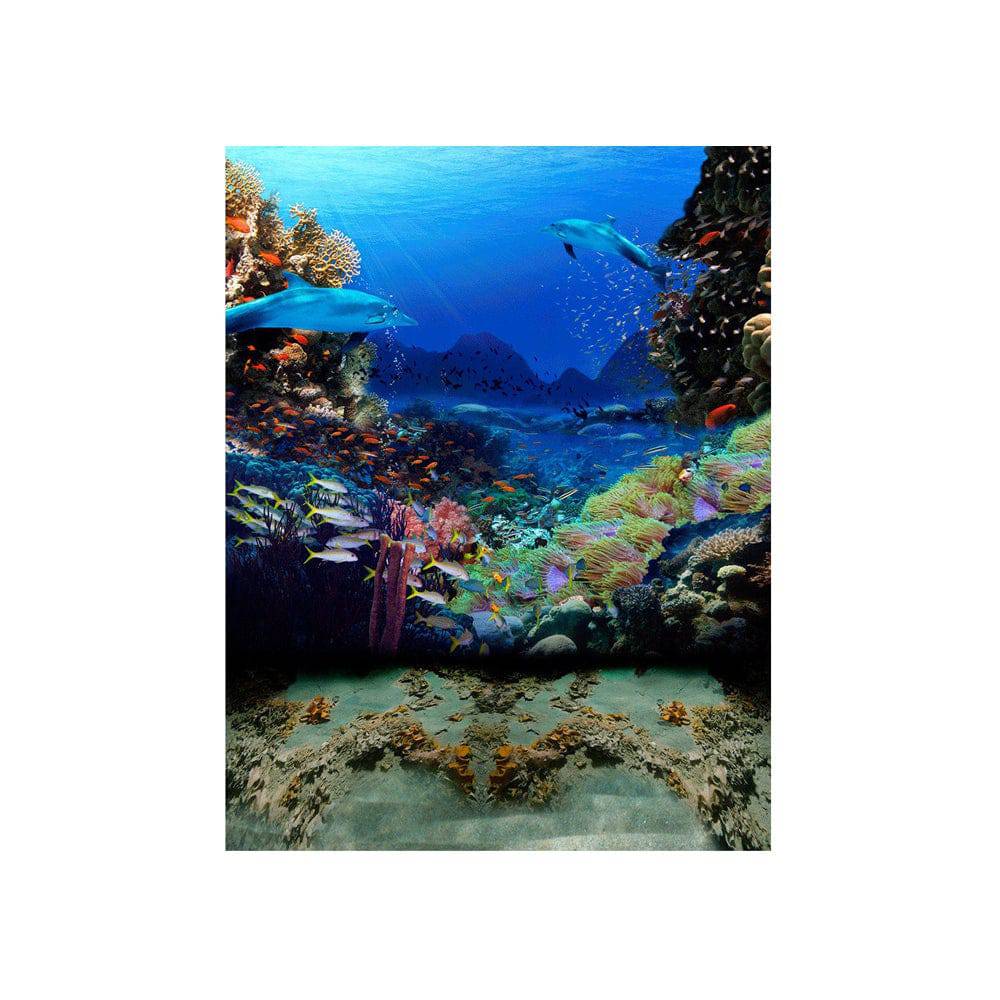 Dolphin Coral Reef Photo Backdrop - Basic 4.4  x 5  