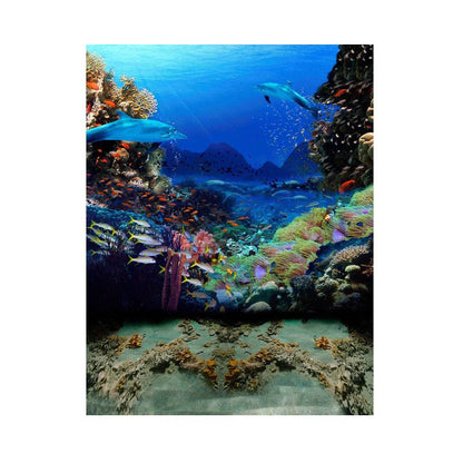 Dolphin Coral Reef Photo Backdrop - Basic 5.5  x 6.5  