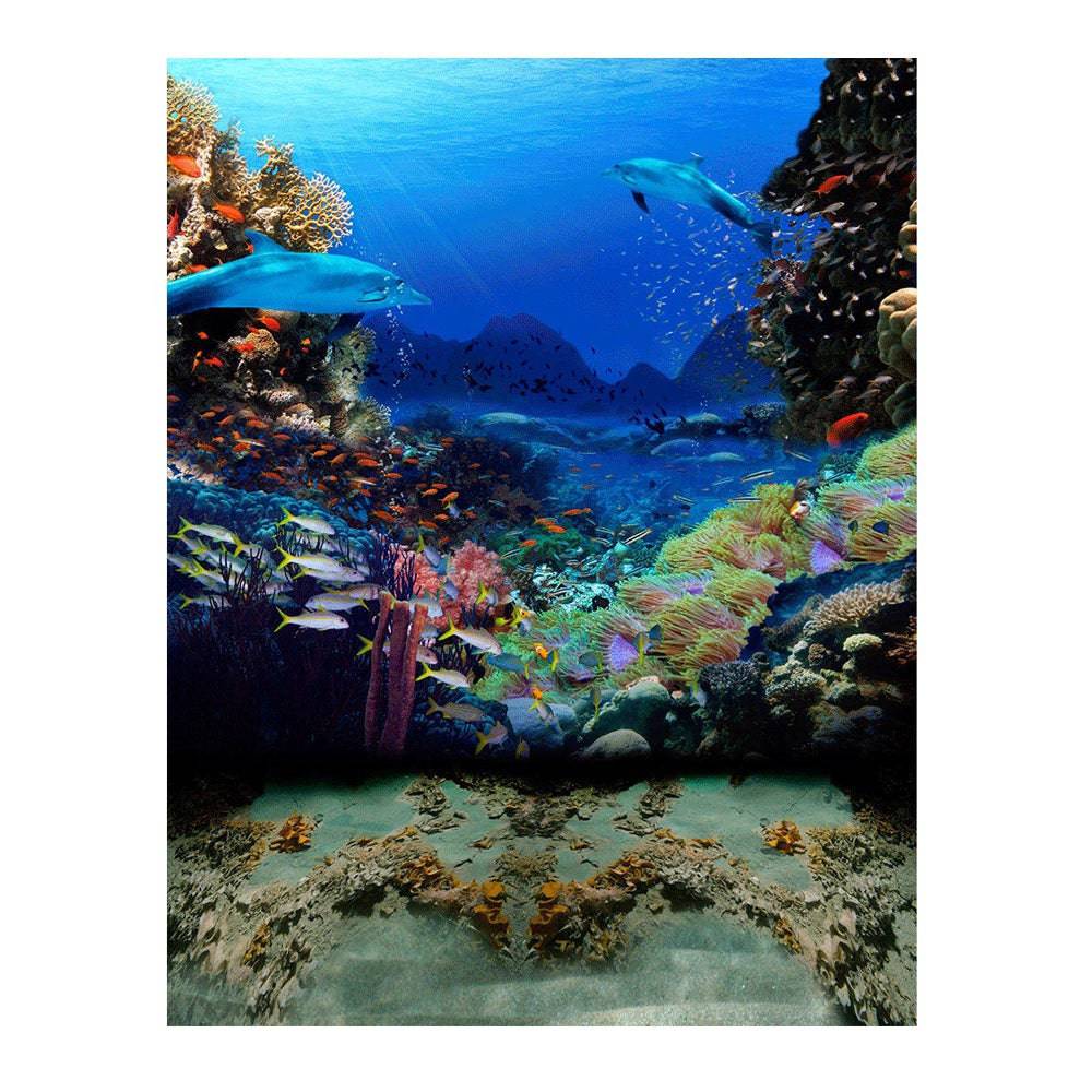 Dolphin Coral Reef Photo Backdrop - Basic 6  x 8  