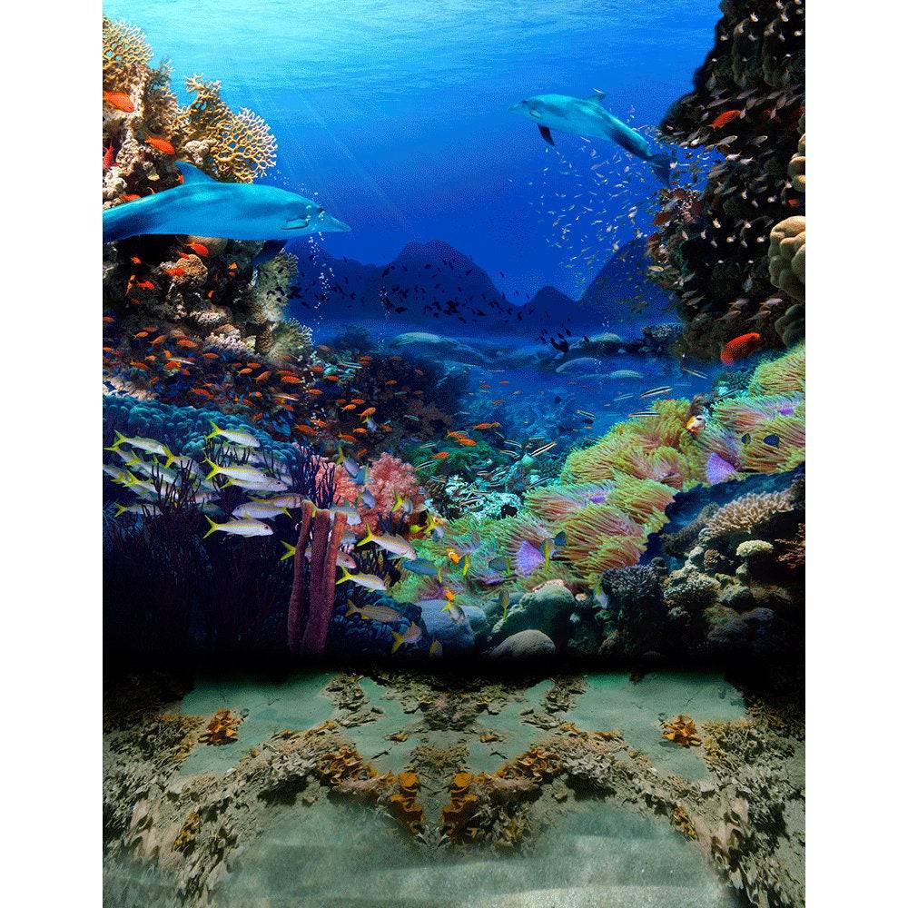 Dolphin Coral Reef Photo Backdrop - Basic 8  x 10  