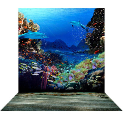 Dolphin Coral Reef Photo Backdrop - Basic 8  x 16  