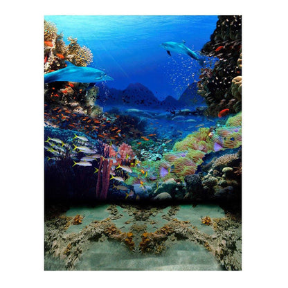 Dolphin Coral Reef Photo Backdrop - Pro 6  x 8  