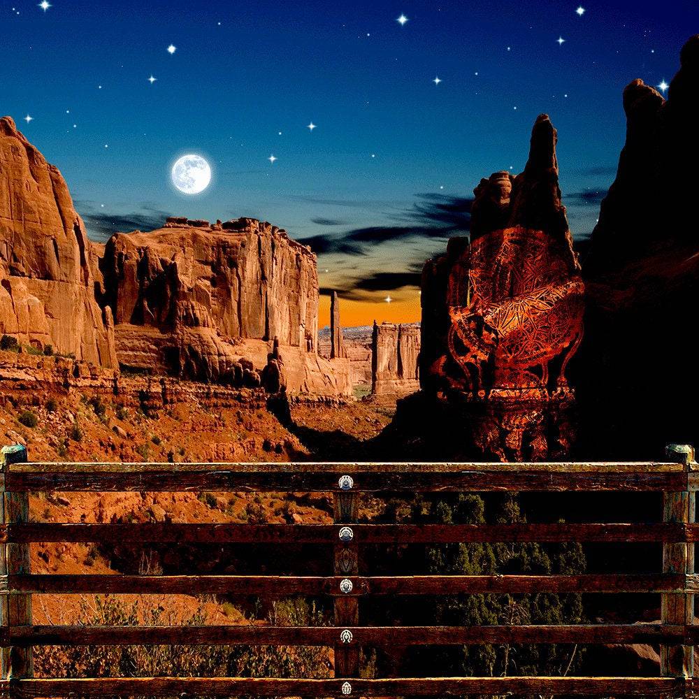 Western Desert Canyon Photo Backdrop - Pro 10  x 10  