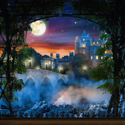 Enchanted Castle Photography Backdrop - Basic 10  x 8  