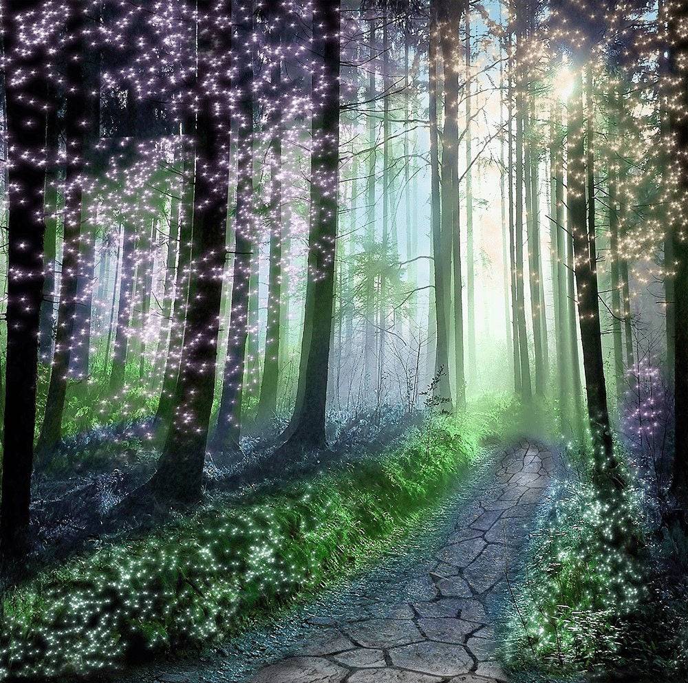 Enchanted Forest Fairy Tale Photo Backdrop - Basic 10  x 8  