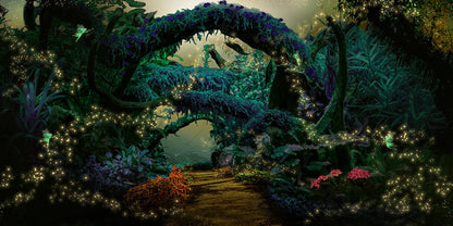 Enchanted Woods Fairy Trail Photography Background - Basic 16  x 8  