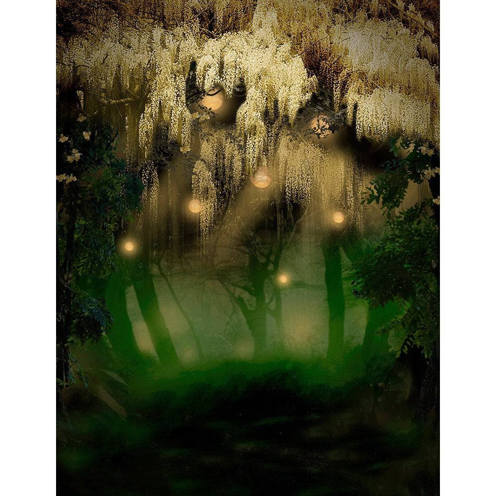 Magical Forests Fairies Photo Backdrop - Basic 8  x 10  