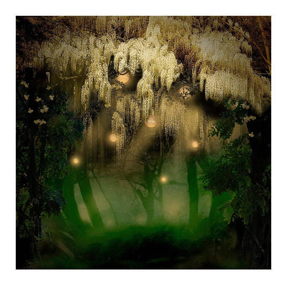 Magical Forests Fairies Photo Backdrop - Pro 10  x 8  