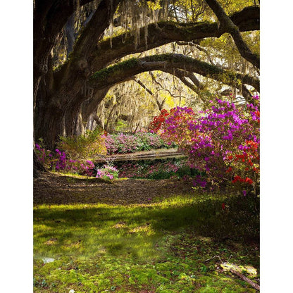 Wild Azalea Garden Photography Background - Basic 8  x 10  