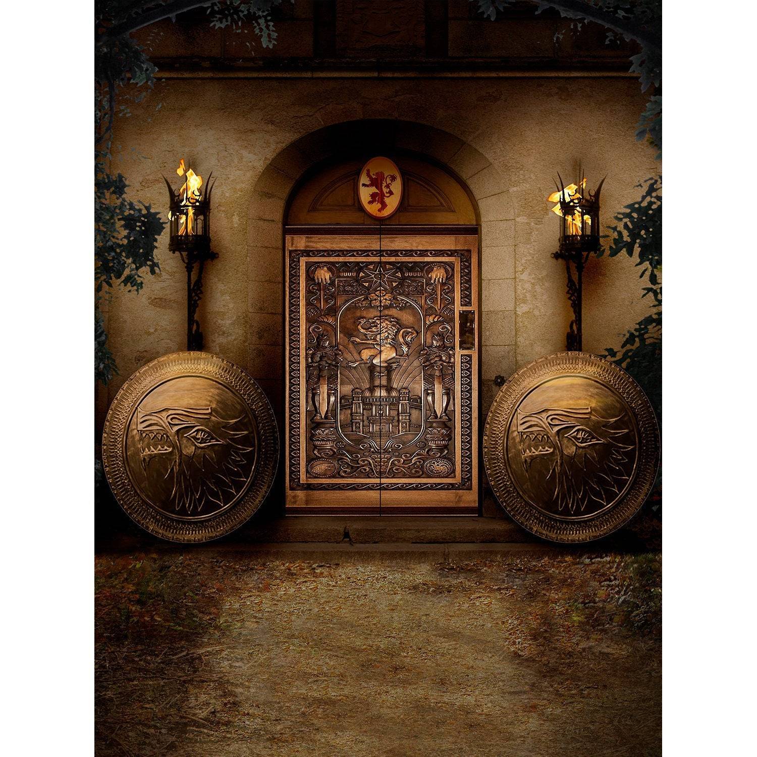 Medieval Game of Thrones Castle Interior Photo Backdrop - Basic 8  x 10  