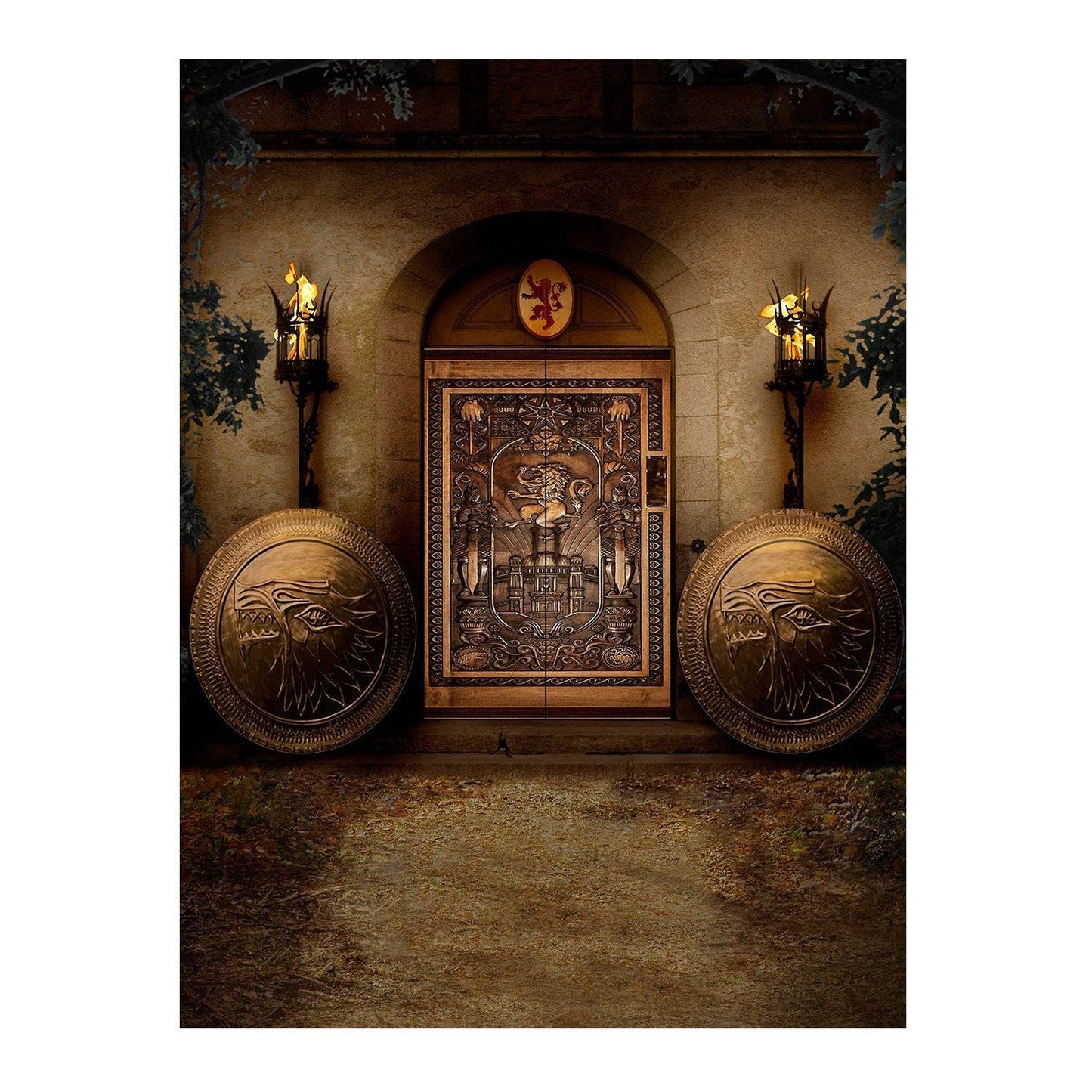 Medieval Game of Thrones Castle Interior Photo Backdrop - Pro 6  x 8  
