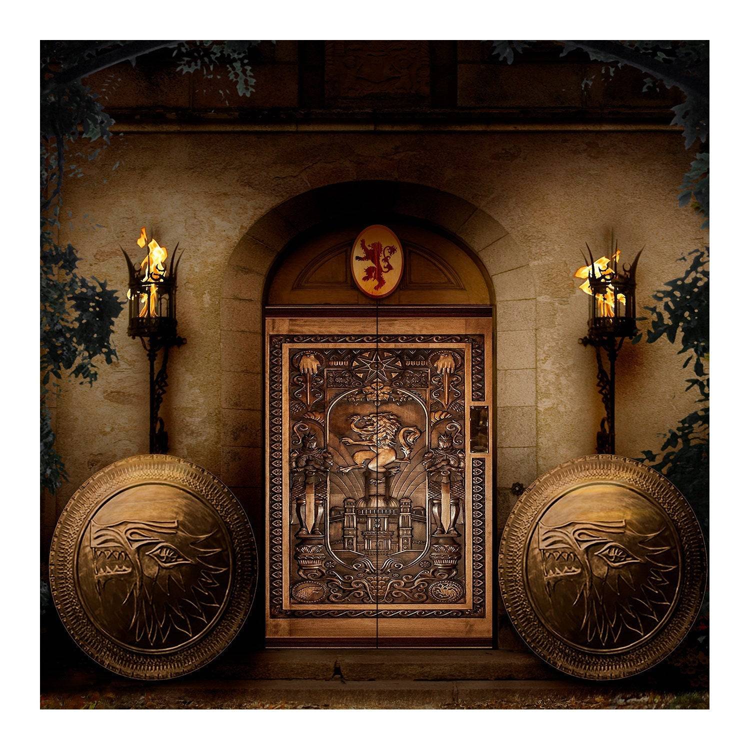 Medieval Game of Thrones Castle Interior Photo Backdrop - Pro 8  x 8  