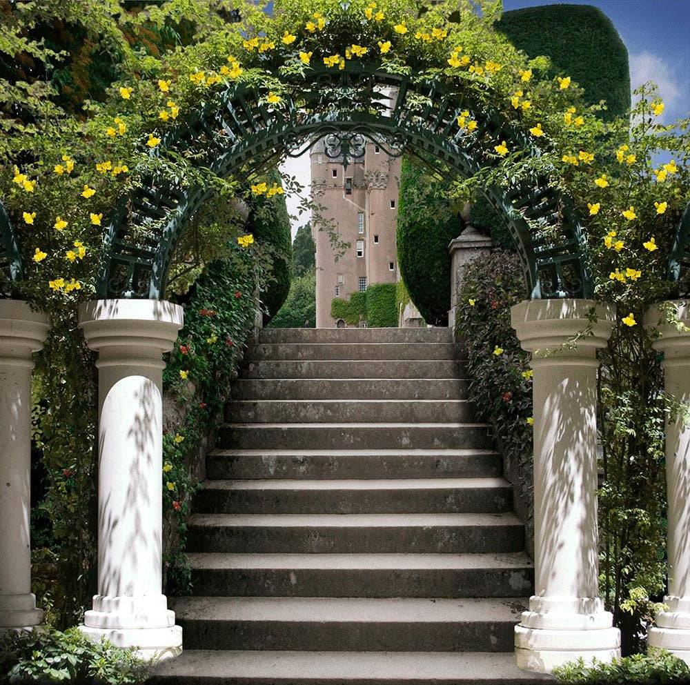 Garden Arch Stairway Photography Background - Basic 10  x 8  