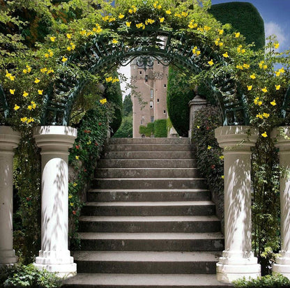 Garden Arch Stairway Photography Background - Pro 10  x 10  