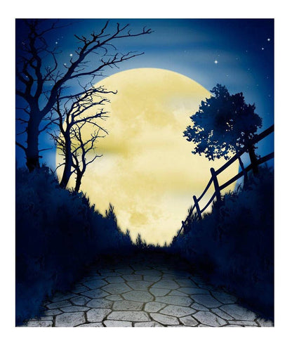 Halloween Moon Hocus Pocus Photo Backdrop - Basic 6  x 8  