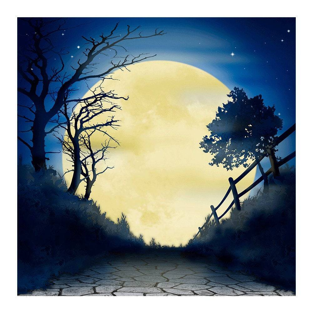 Halloween Moon Hocus Pocus Photo Backdrop - Basic 8  x 8  