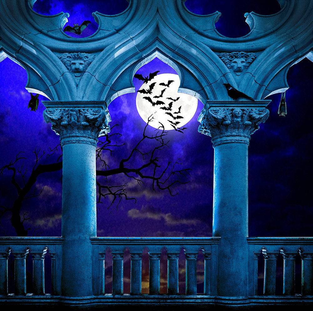 Halloween Party Full Moon Photography Background - Basic 10  x 8  