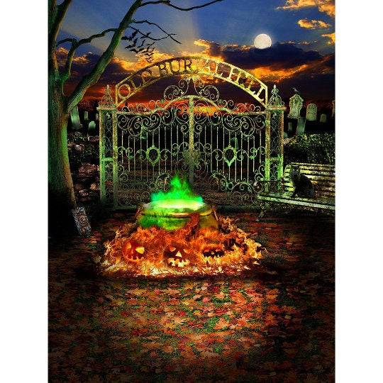Hocus Pocus Halloween Horror Party Photography Background - Pro 8  x 10  