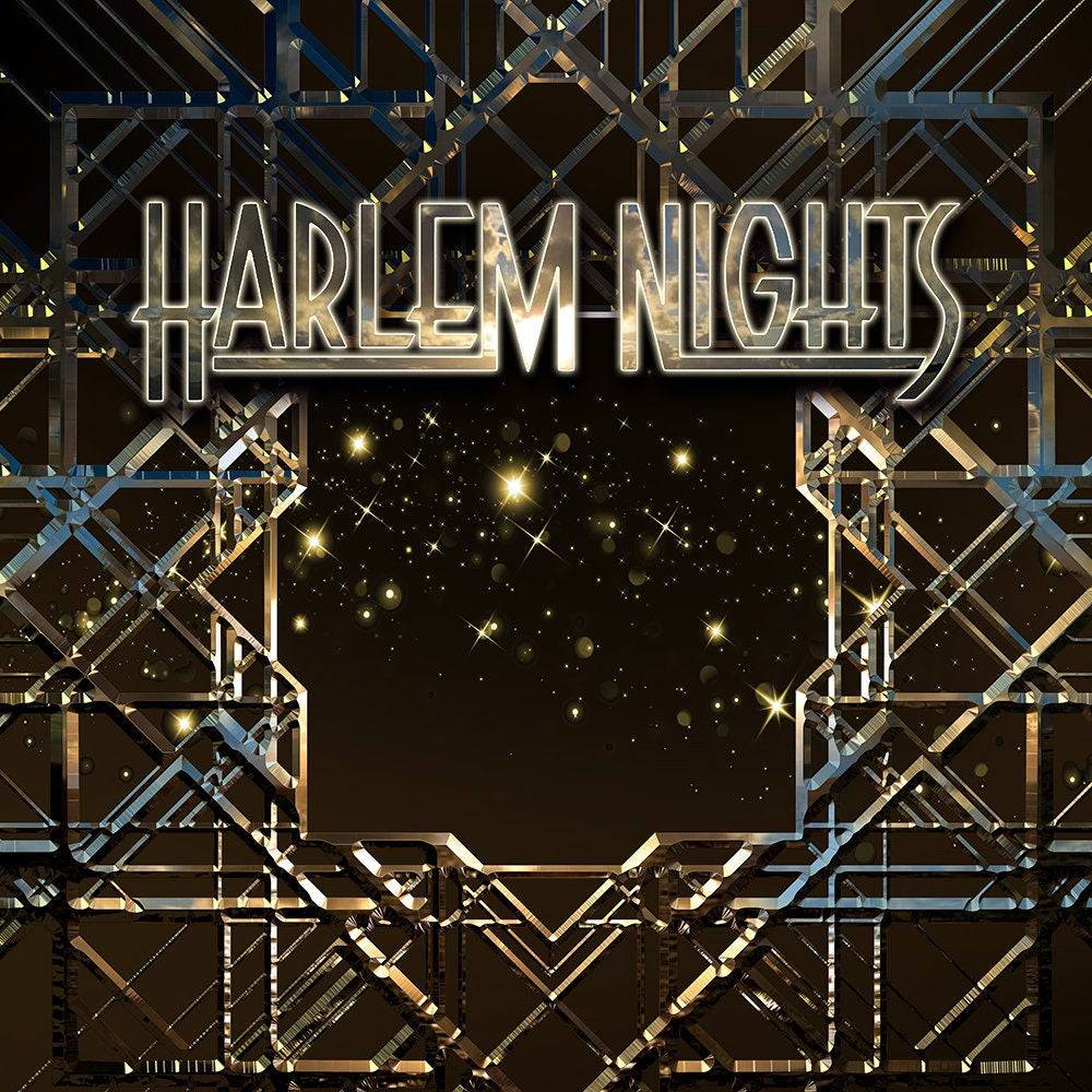Harlem Nights Party On Photo Backdrop - Basic 10  x 8  