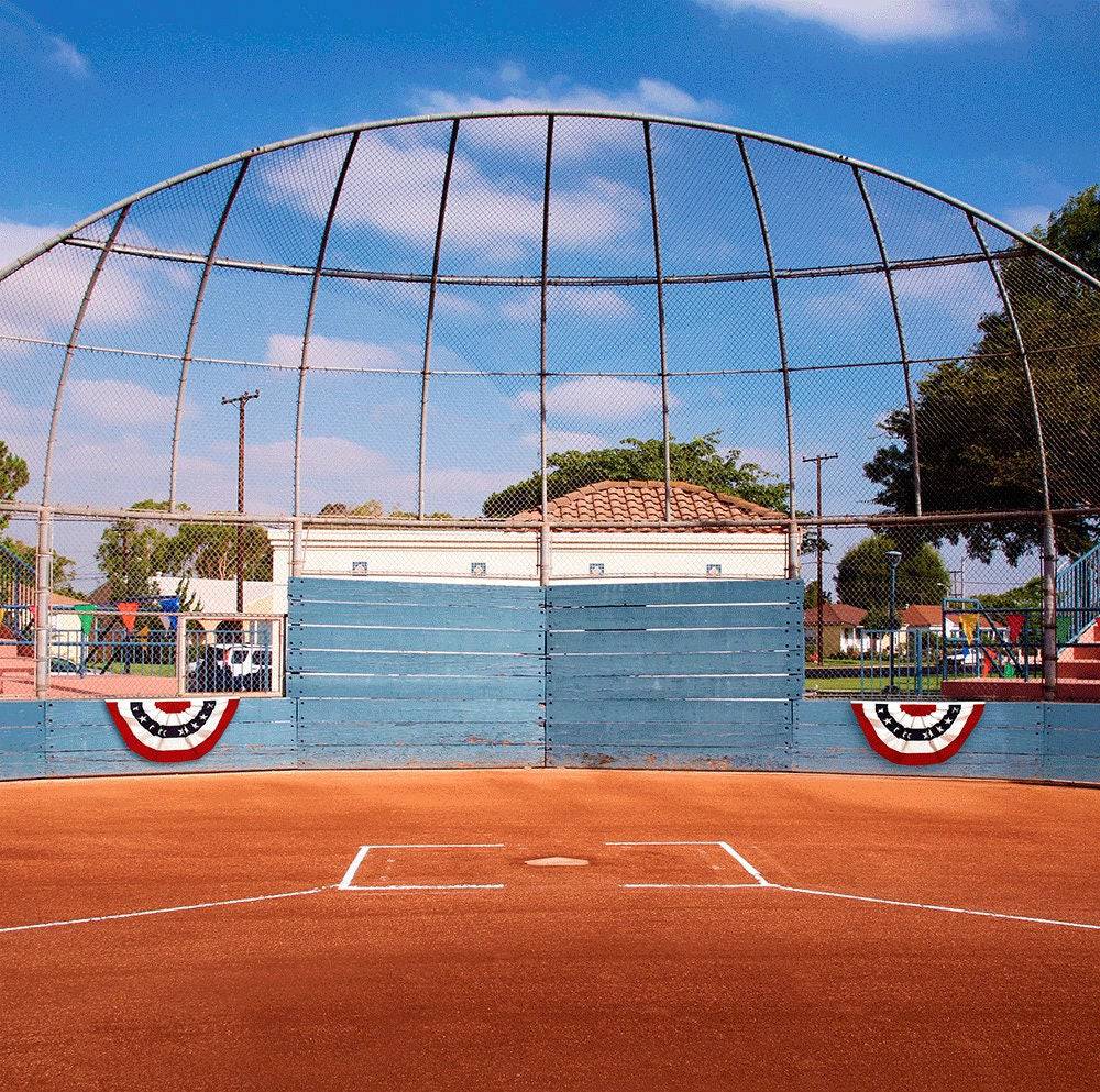 Home Plate Baseball Field Photo Backdrop Backdrop - Pro 10  x 10  