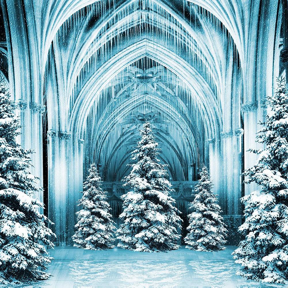 Christmas Ice Palace Photography Backdrop - Basic 10  x 8  