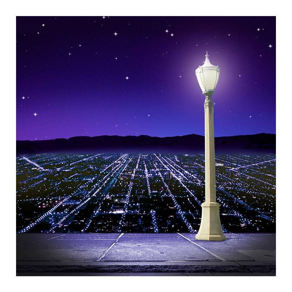 City At Night Photography Backdrop - Pro 8  x 8  