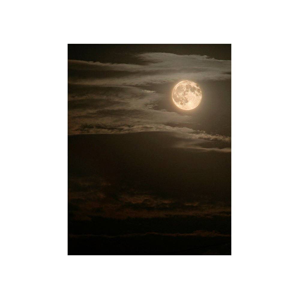Moonscape Photography Backdrop - Basic 4.4  x 5  