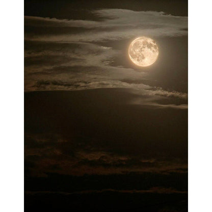 Moonscape Photography Backdrop - Basic 8  x 10  