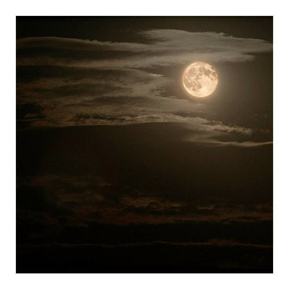 Moonscape Photography Backdrop - Basic 8  x 8  