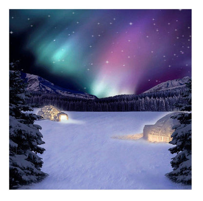 Purple Northern Lights Photo Backdrop - Basic 8  x 8  