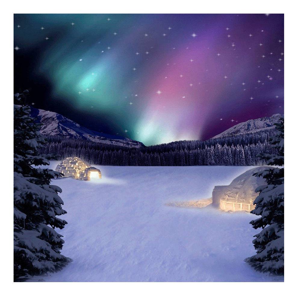 Purple Northern Lights Photo Backdrop - Pro 8  x 8  