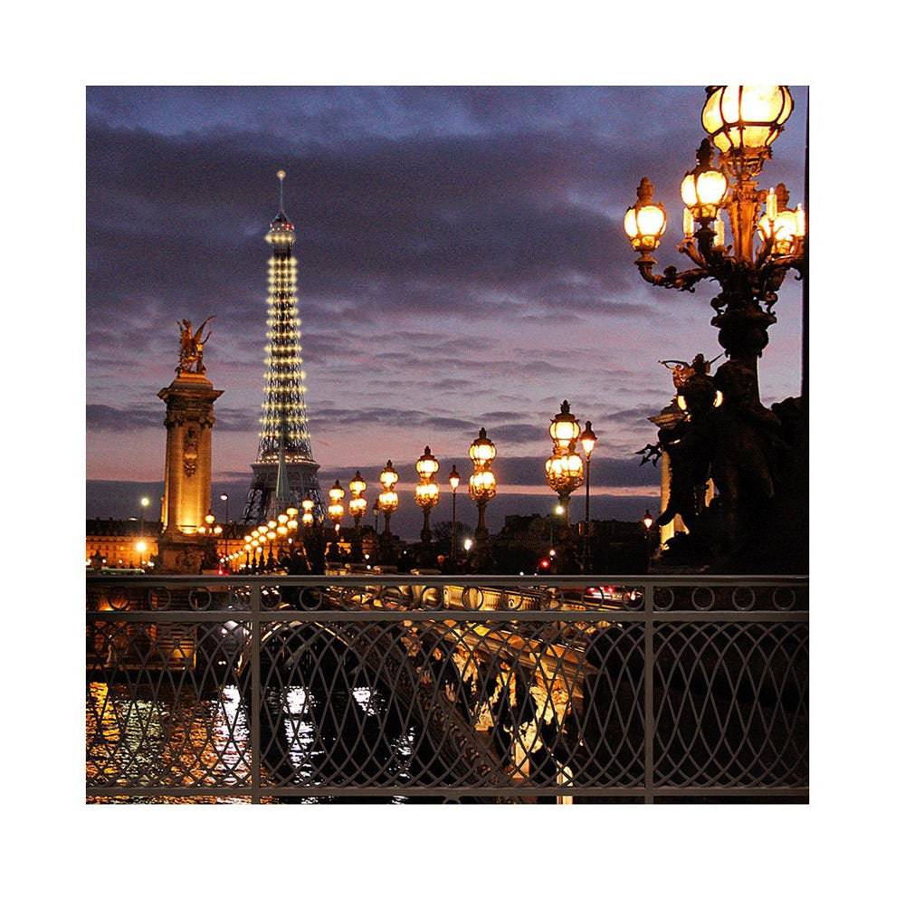 Paris Bridge Eiffel Tower Photography Backdrop - Basic 8  x 8  